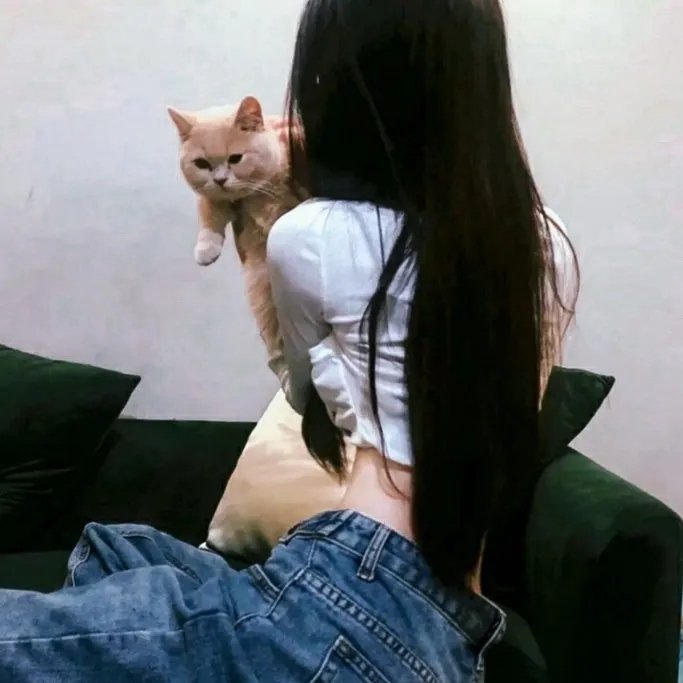 姐妹