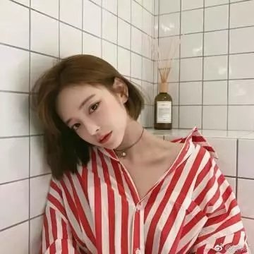 兔年